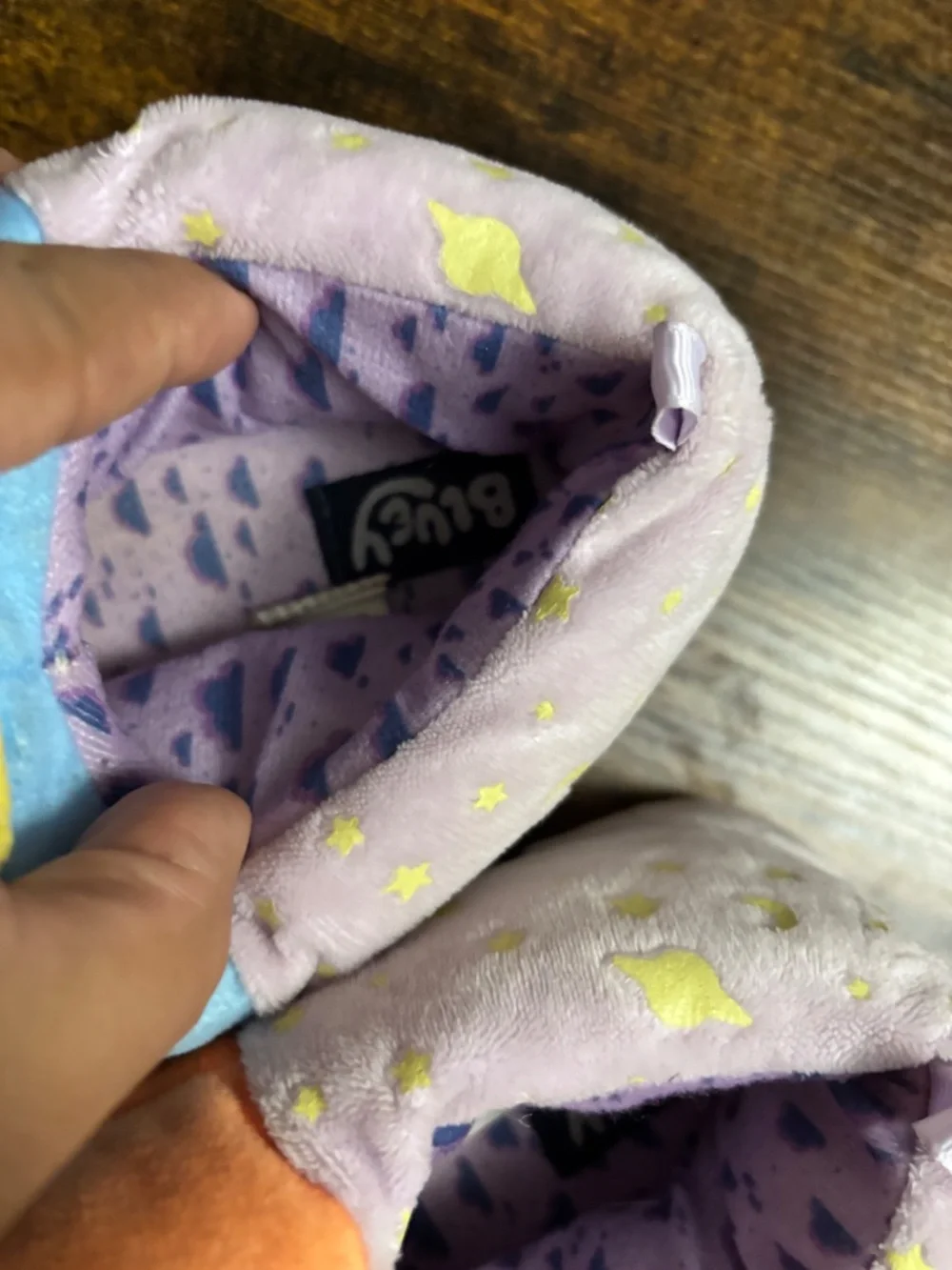 Bluey slippers